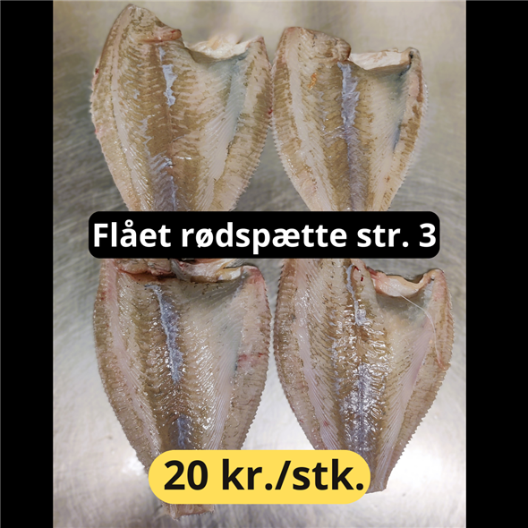 Rødspætte flået str. 3
